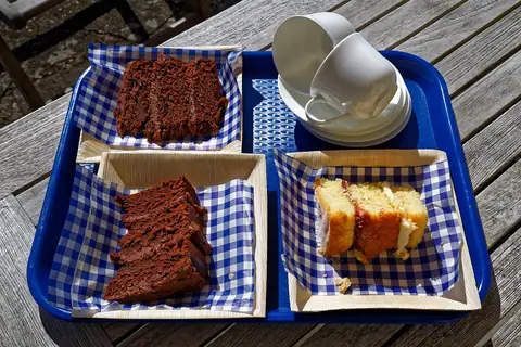 Bite photo 1
